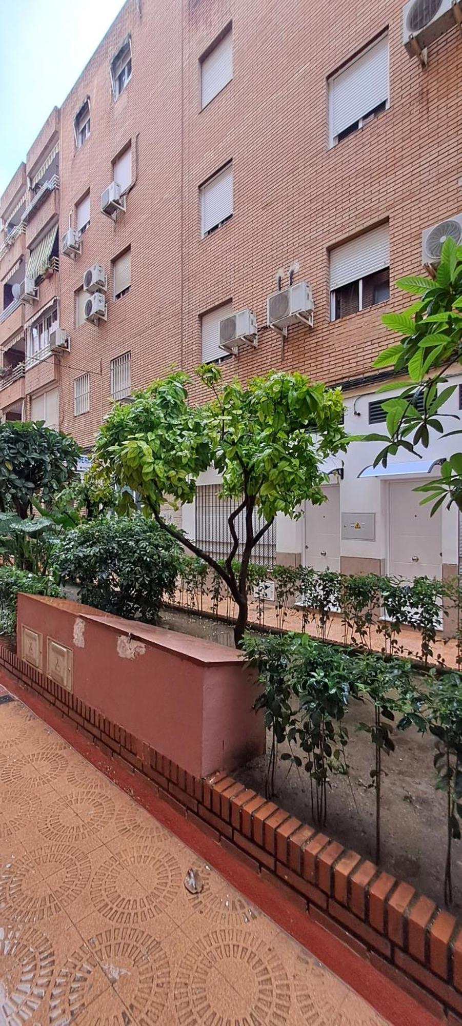 קורדובה Apartamentos Suite Sol מראה חיצוני תמונה